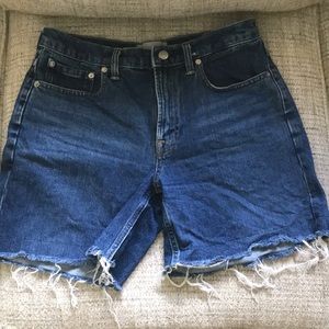 Everlane Relaxed Denim Shorts